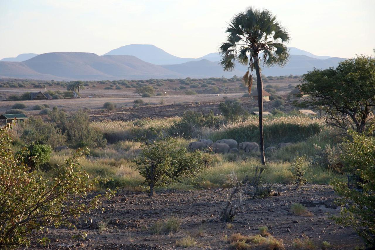 Palmwag Campsite Dış mekan fotoğraf